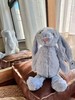 英国JELLYCAT2024新品趣味包包玩偶公仔玩具 时尚潮流妹妹们最爱商品 商品缩略图11