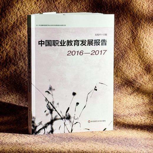 中国职业教育发展报告 2016—2017 职业教育改革实践 石伟平 商品图3