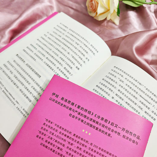 何谓“sex资本”？——关于sex的历史社会学 商品图4