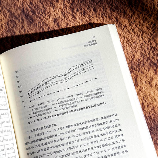 中国职业教育发展报告 2016—2017 职业教育改革实践 石伟平 商品图10