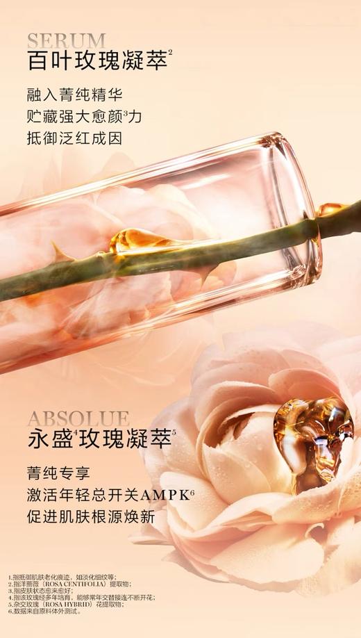 【品牌授权】【爆款】兰蔻菁纯精华30ml+菁纯面霜小样15ml+菁纯眼霜5ml+礼盒礼袋 商品图4