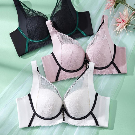 丝语法式性感云感棉文胸 茜茜公主聚拢小胸显大性感上托防下垂中厚杯文胸收副乳内衣女 商品图3