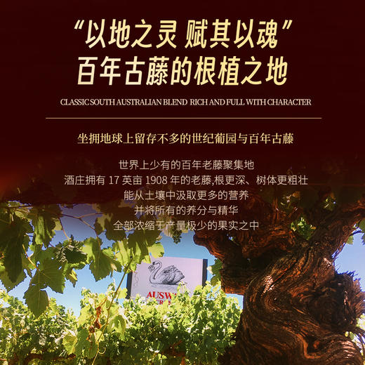【天鹅酿酒集团旗下天鹅庄出品】天鹅庄·Bin1838珍藏赤霞珠干红葡萄酒 南澳巴罗萨谷产区 14%vol 商品图7
