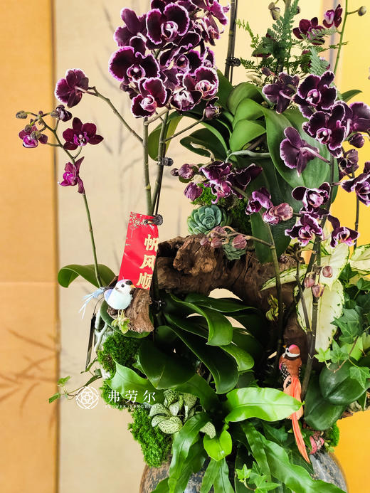 JT蛇年吉祥 商品图2