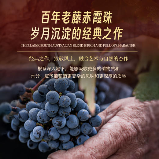 【天鹅酿酒集团旗下天鹅庄出品】天鹅庄·Bin1838珍藏赤霞珠干红葡萄酒 南澳巴罗萨谷产区 14%vol 商品图6