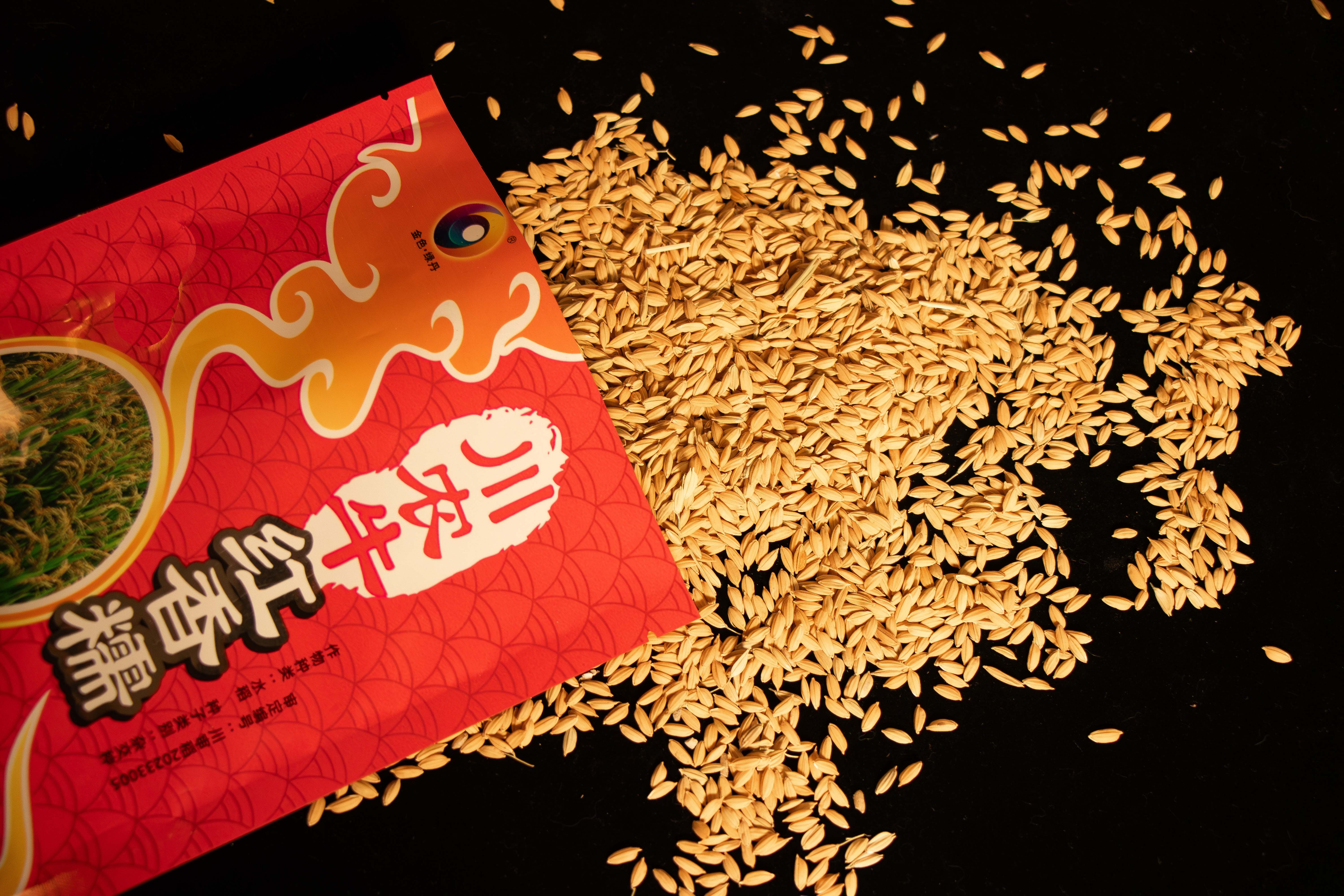 【5袋起四川省内包邮】川农牛·红香糯种子 100g/袋  糯性优良 富花青素景观性强 应用广泛