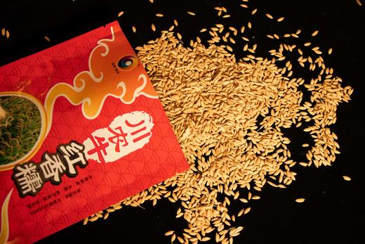 【5袋起四川省内包邮】川农牛·红香糯种子 100g/袋  糯性优良 富花青素景观性强 应用广泛 商品图0