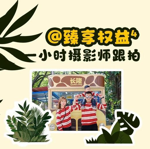 【开春限时钜惠】广州长隆动物园2天1晚套票一价全含园区住宿+门票+专属导览+旅拍 ！ 商品图6