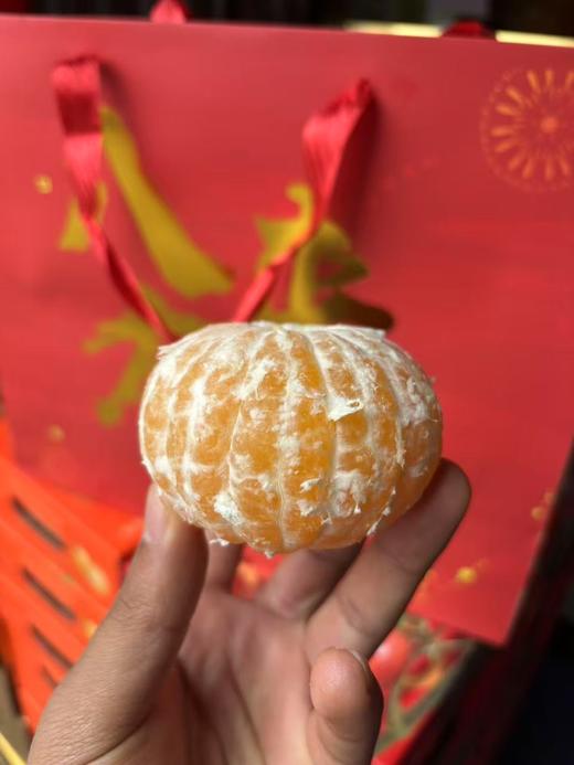 糖嫣柚 巨水巨甜 柚子的外表 橙橘的内心 商品图3