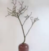 玉兰干枝1*1支 商品缩略图0