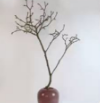 玉兰干枝1*1支
