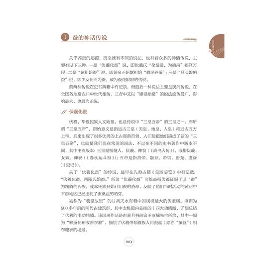 吐丝神虫——走进家蚕的万千世界/陈玉银/吴琪/陈雨宵/浙江大学出版社 商品图2