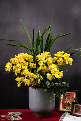 蛇年福满户