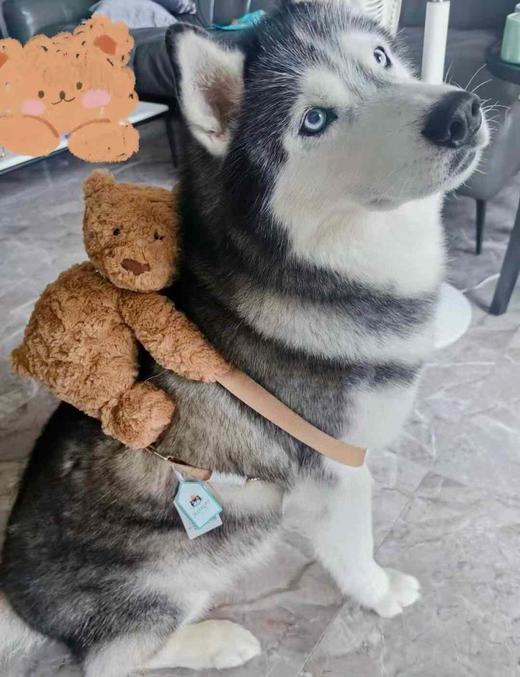 英国JELLYCAT2024新品趣味包包玩偶公仔玩具 时尚潮流妹妹们最爱商品 商品图2