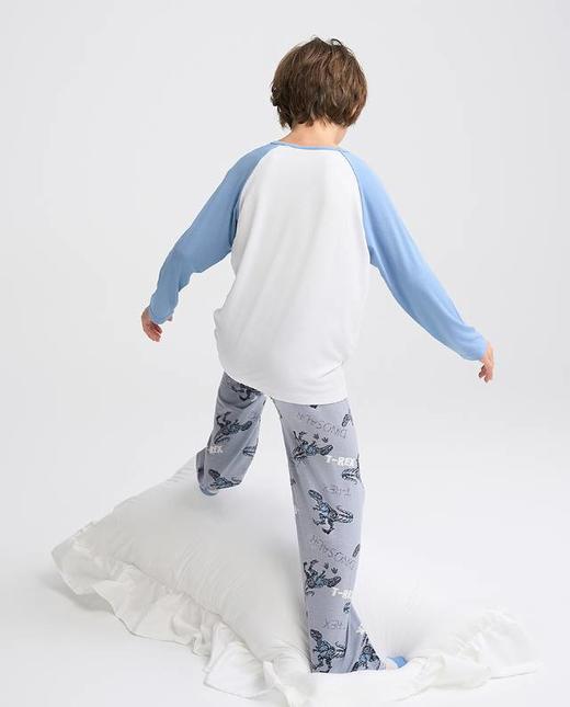 【春上新】8楼爱慕儿童Aimer Kids男孩奶皮机械恐龙套头长袖睡衣AK241H101，吊牌价329元 商品图2