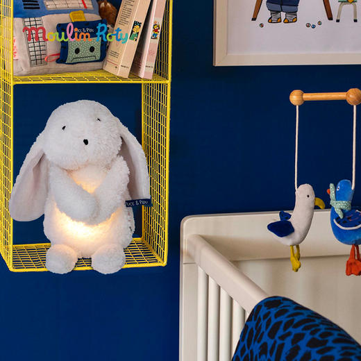 Moulin Roty 小兔安抚玩偶礼盒 多功能玩偶 适合年龄0岁+ 安抚玩具 小狗普斯与皮鲁系列 法国玩具 684030 商品图1