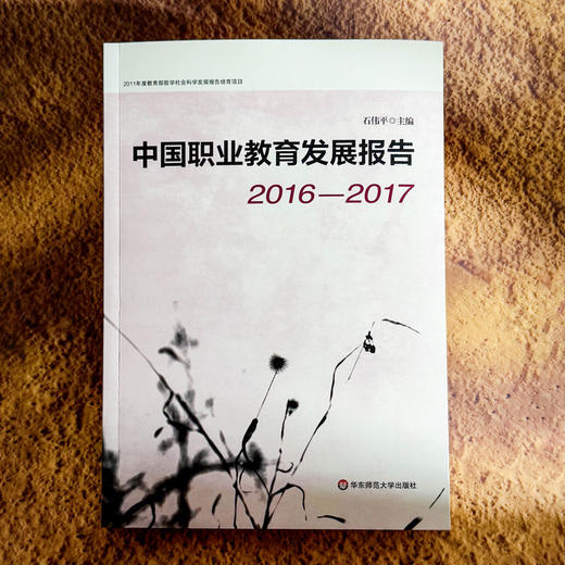 中国职业教育发展报告 2016—2017 职业教育改革实践 石伟平 商品图1