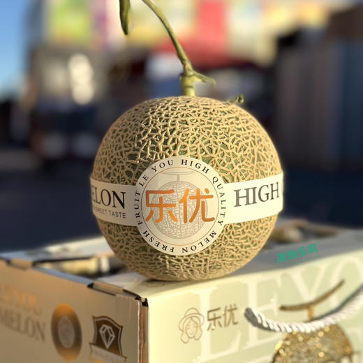 牛三网纹瓜，冰淇淋口感，放软了吃，口感软糯香甜，2粒礼盒装，4.6斤 商品图0