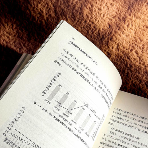 中国职业教育发展报告 2016—2017 职业教育改革实践 石伟平 商品图9
