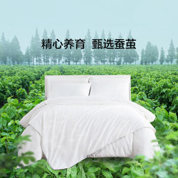 京东京造苏州双宫茧100%桑蚕丝被 【1.5kg高填充】秋冬被子2.2x2.4m约6斤 /床上用品 /被子 /蚕丝被 商品图7