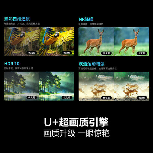 海信电视  75英寸 120Hz疾速高刷 2+64GB 液晶巨幕 远程语音  大屏游戏电视 75D3ND 商品图2