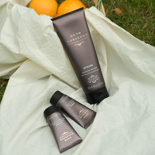 【1.21王炸割肉价】GROWGORGEOUS/GG强韧防脱洗发水250ml+ 护发素50ml（限洗发水25年3月/护发素25年6月） 商品图2