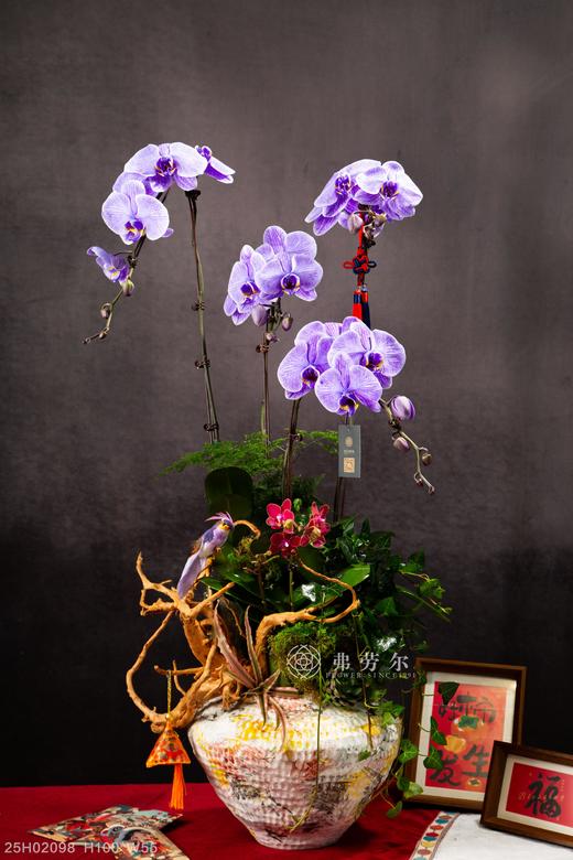 金蛇暴富 商品图0