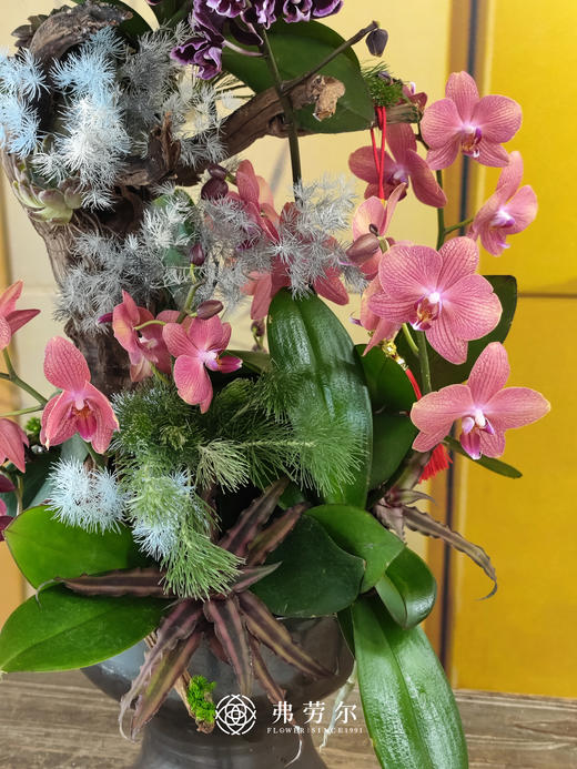 JT蛇年安康 商品图2