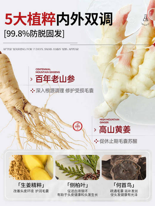 儒意防脱固根洗发水 控油蓬松去屑防脱固发洗头膏露品牌正品 男女可用 500ml 商品图2