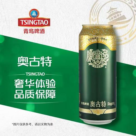 青岛500ml奥古特1903啤酒【一箱请拍12听】 商品图0