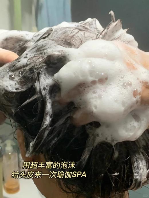 【1.21积分当钱花】The Body Shop生姜洗发露蓬松400ml（限25年9月） 商品图4