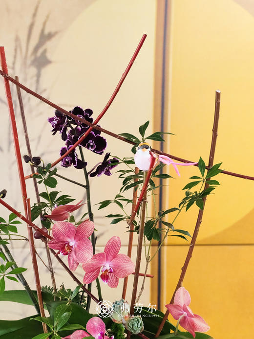 JT事事顺心 商品图1