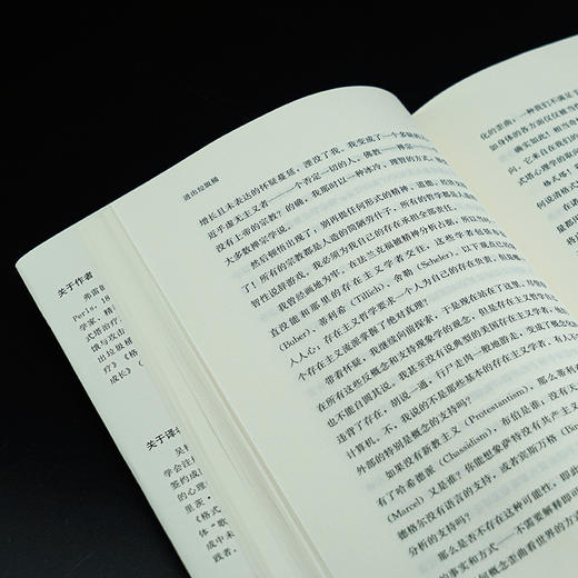 进出垃圾桶//格式塔治疗丛书 商品图5