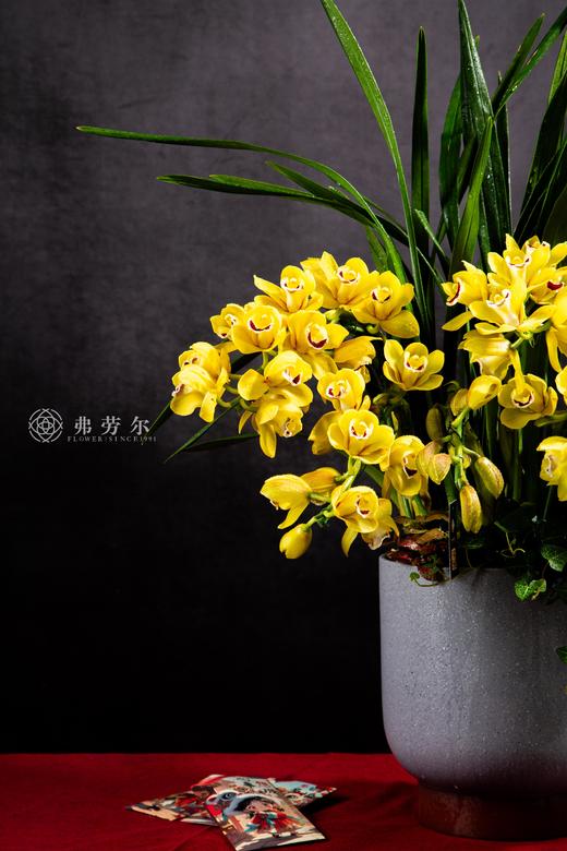 蛇年福满户 商品图1