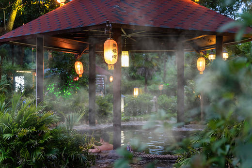 【错峰出游】单人温泉门票+自助餐 商品图5