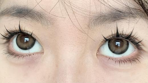 Pinkg半年抛·奶油波力·14.5mm中等着色·韩产2片 商品图9