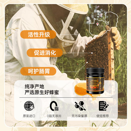 【原装进口】赞比亚部落神树黄金蜂蜜非洲好物 商品图1