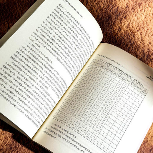 中国职业教育发展报告 2016—2017 职业教育改革实践 石伟平 商品图12