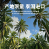 酷可椰NFC粉红椰子水300ml*8瓶泰国香水椰饮料非浓缩还原0添包邮 商品缩略图1