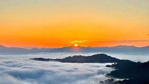 户外@【象往版纳】普洱+景迈山+西双版纳全景 7天 商品图4