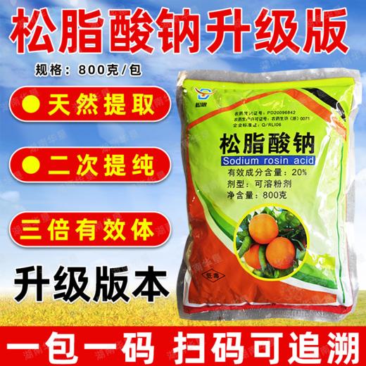 松脂酸钠升级版果树清园柑橘铁皮石斛杨梅介壳虫蚧壳虫杀虫剂正品 商品图2