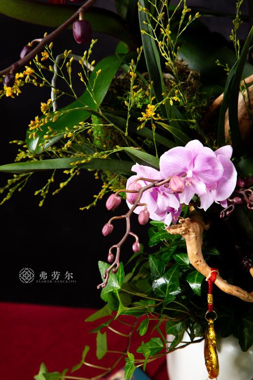 蛇绕金枝 商品图2