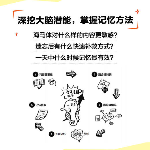 海马体记忆法 费曼学习法 艾宾浩斯记忆法 考试脑科学 过目不忘 商品图1