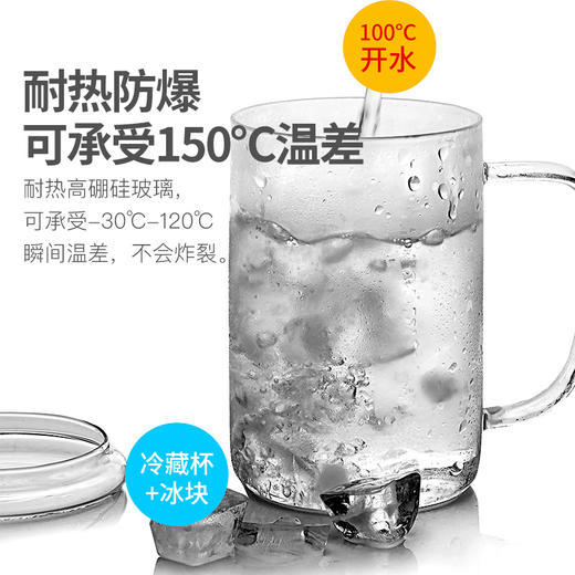 雅集玻璃杯豪饮杯850ml（单杯/加厚款） 商品图5