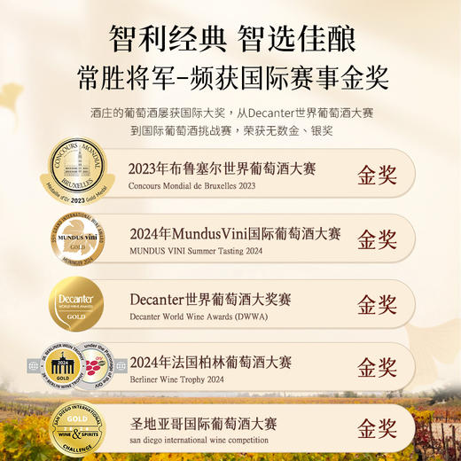 【曼联指定合作品牌】干露红魔鬼深蓝系列 智利原瓶进口 13.5%vol 商品图4