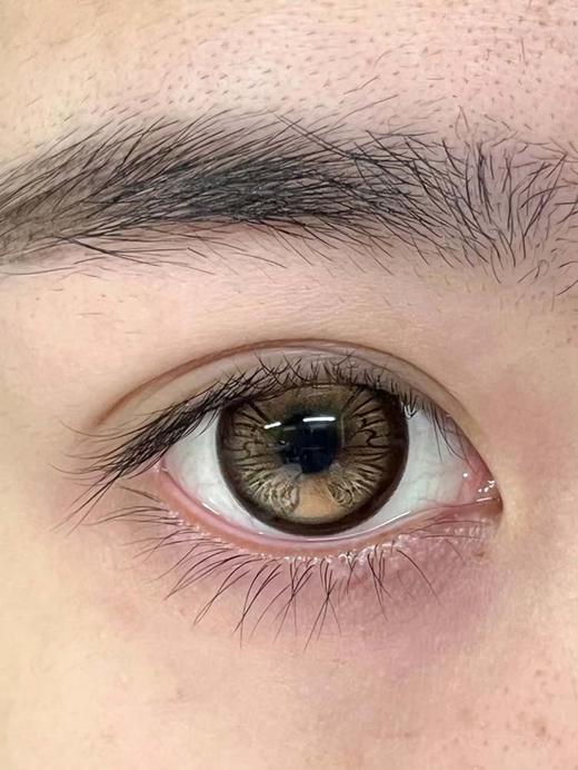 huohuocon 半年抛美瞳 帝王蝶翼  直径14.5mm着色13.9mm 商品图6