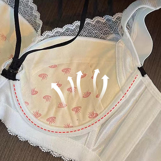 丝语法式性感云感棉文胸 茜茜公主聚拢小胸显大性感上托防下垂中厚杯文胸收副乳内衣女 商品图6