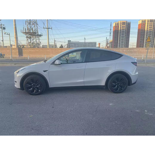 特斯拉 Model Y 长续航全轮驱动版【长租-北京】 商品图3