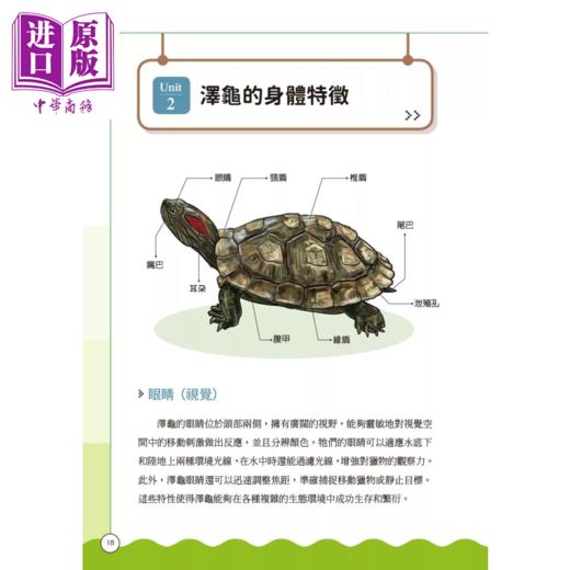 【中商原版】泽龟饲养指南 从挑选 环境设置 喂食 四季健康管理到繁殖 跟着养龟人这样做 给龟龟好的照顾 九桃 晨星出版 港台原版 商品图1