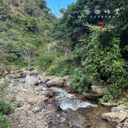 有机四季豆（基地直发-顺丰包邮）｜3斤/箱，来自云南楚雄，生产者：庄代康【合作生产，公平贸易】 商品图12